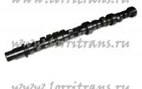 купить Распредвал ЕВРО / ПАО КамАЗ